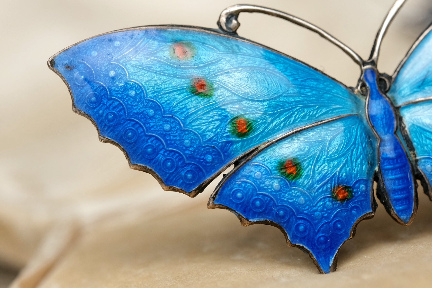c. 1910 sterling silver enamel peacock-feather butterfly brooch left wing close-up