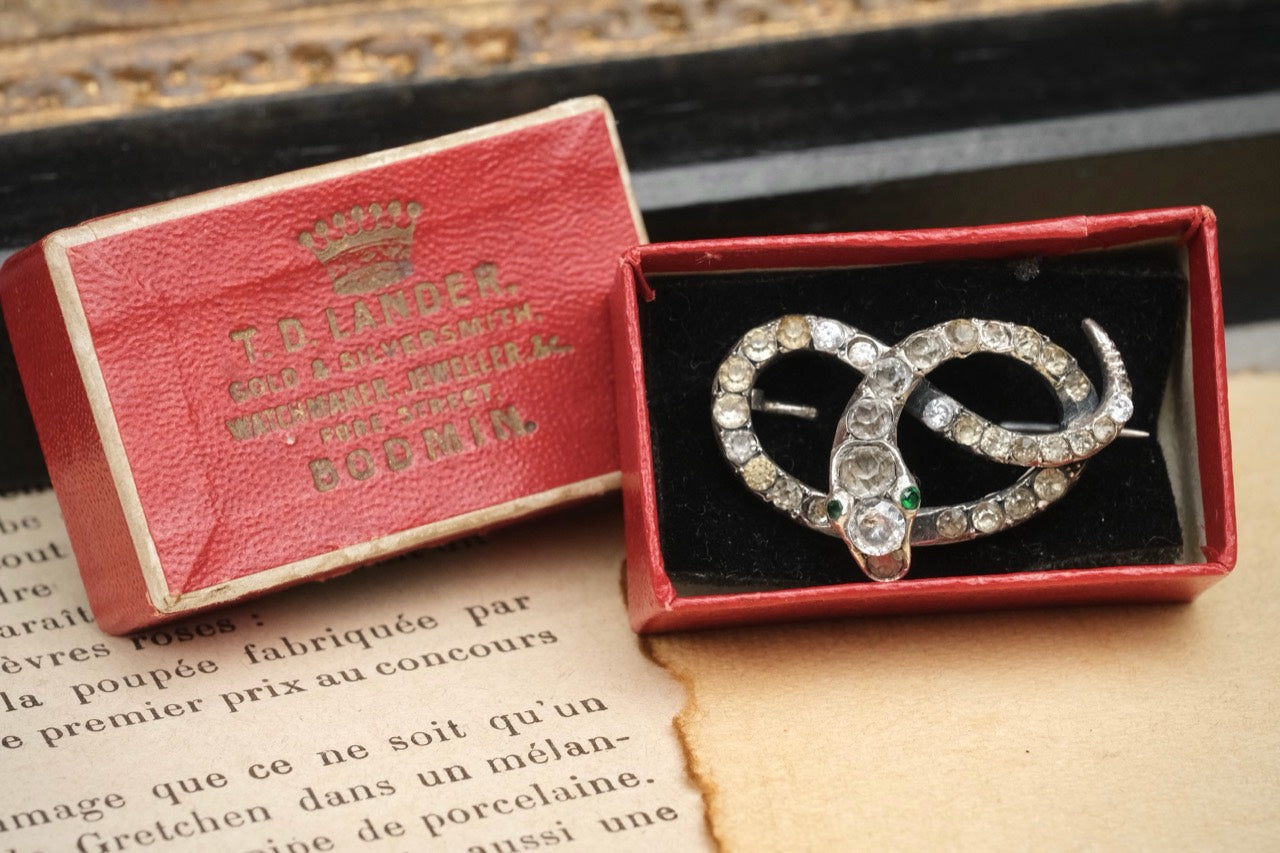 Antique Victorian silver-based paste coiled snake brooch with box photo 1