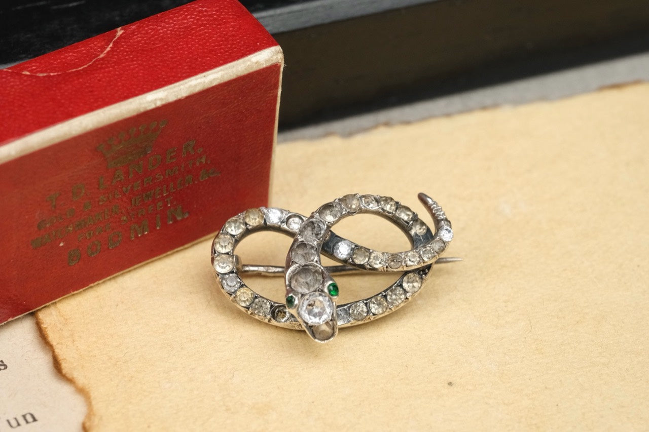 Antique Victorian silver-based paste coiled snake brooch with box photo 2