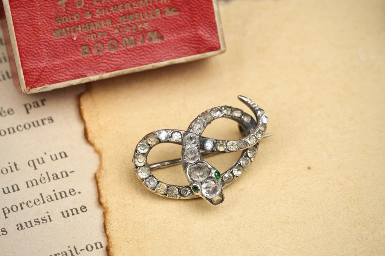 Antique Victorian silver-based paste coiled snake brooch with box photo 3