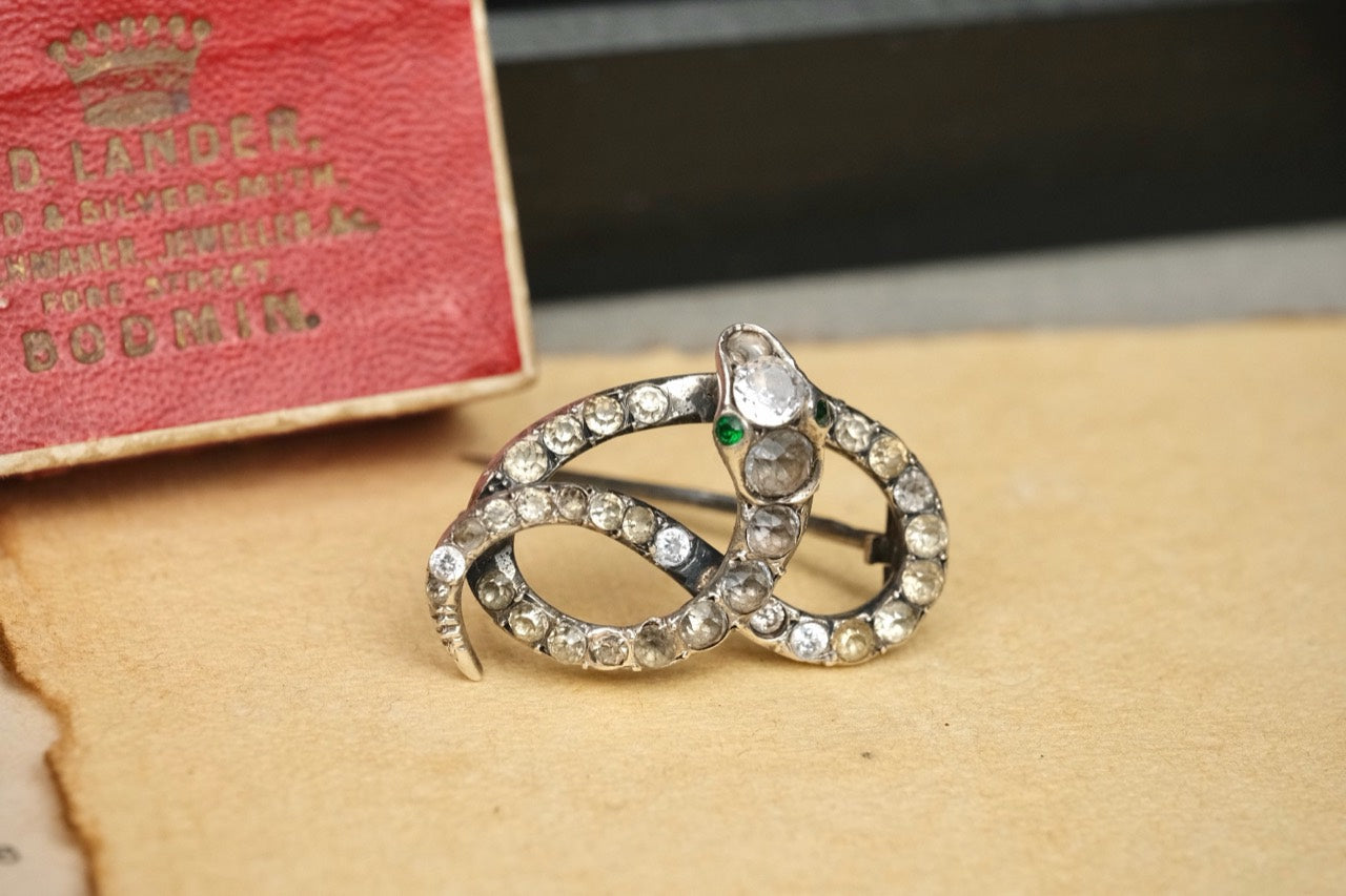 Antique Victorian silver-based paste coiled snake brooch with box photo 4