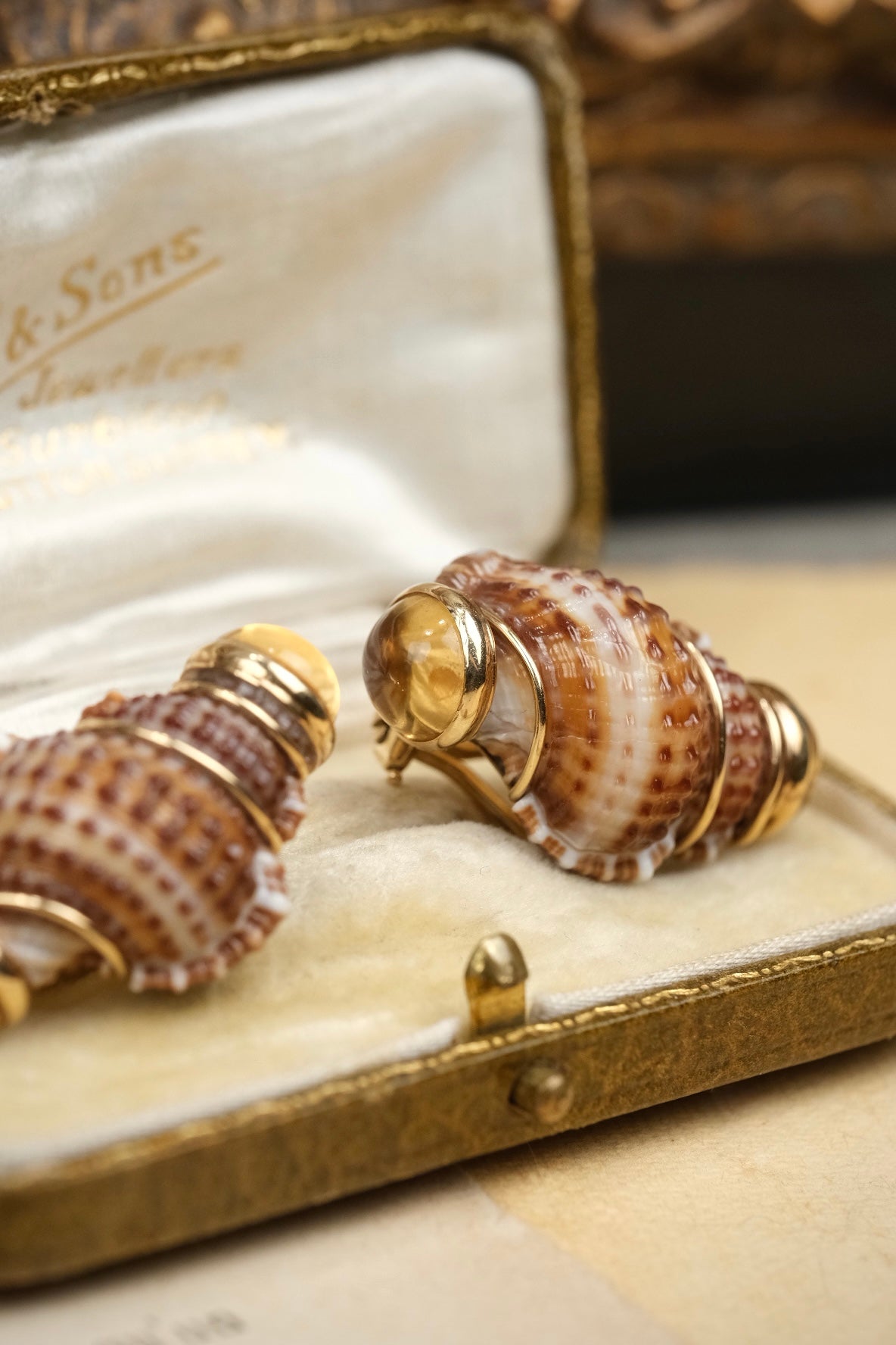 Vintage MAZ 14K gold Turbo Shell earring close-up