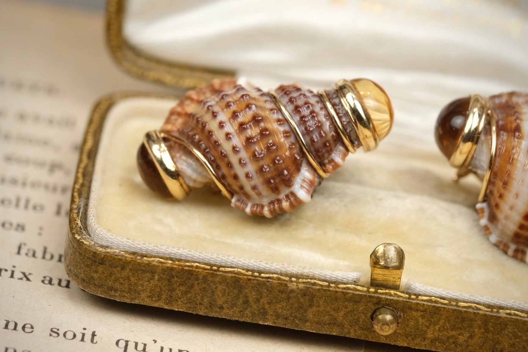 Vintage MAZ Turbo Shell clip-on earrings, shell detail