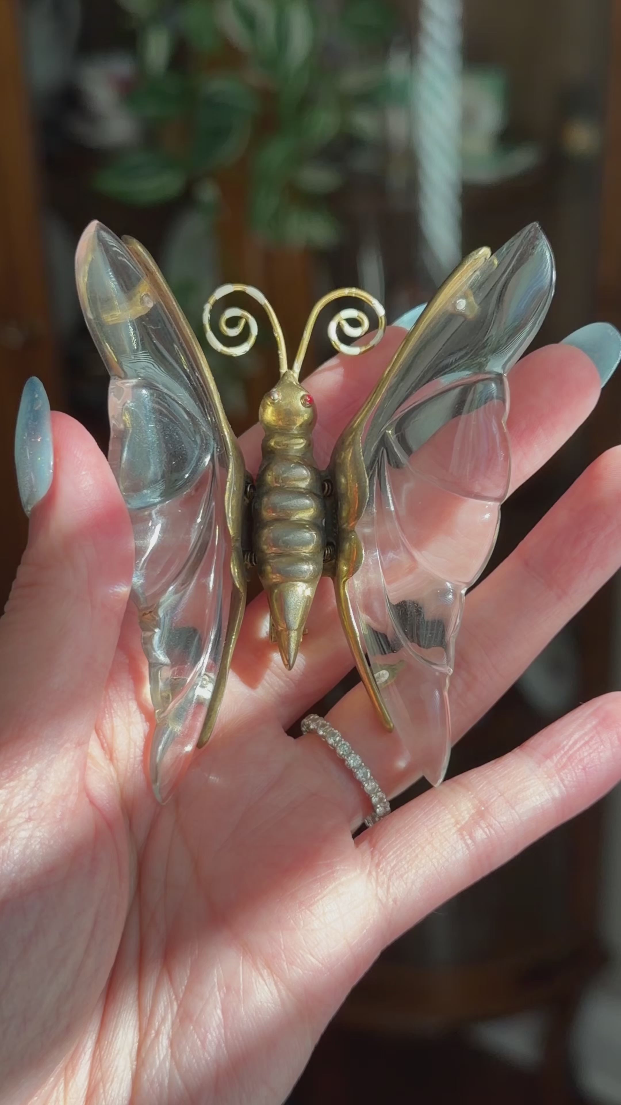 Rare Vintage 1940s Unsigned Jelly Belly Butterfly Brooch Trembler Wings Book Piece Similar