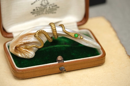 Victorian brass snake and mother of pearl brooch photo 1